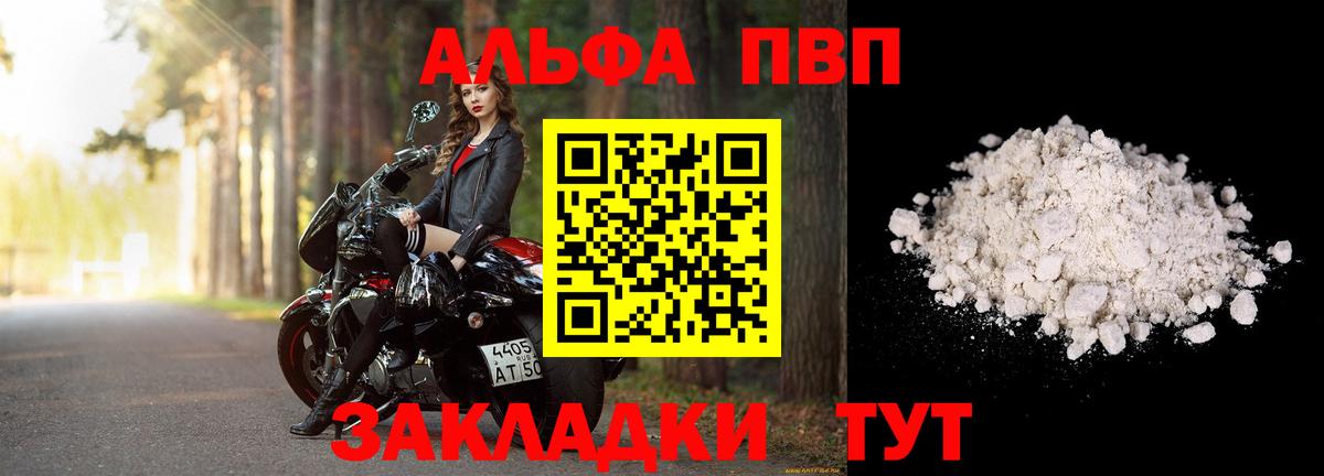 Alfa_PVP СК Кингисепп