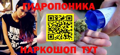 гидра Краснокаменск