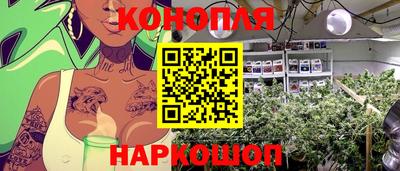 гидра Краснокаменск