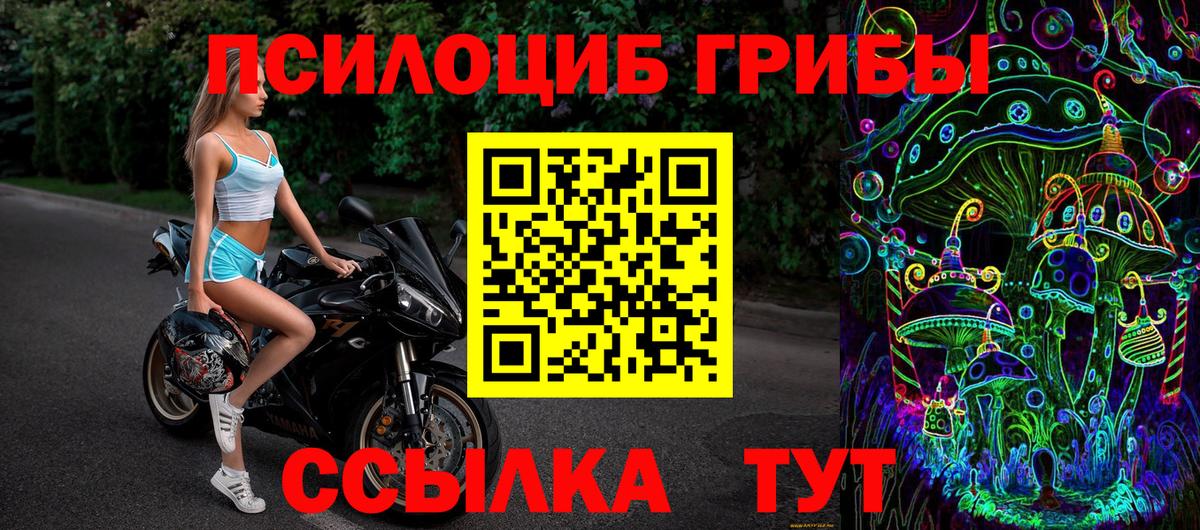 как найти закладки  Галлюциногенные грибы GOLDEN TEACHER  Вход с VPN  Кингисепп 